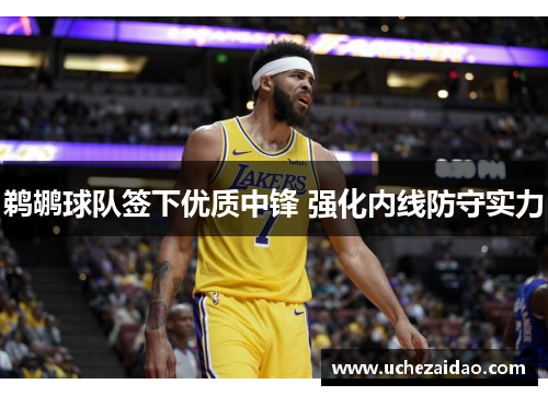 鹈鹕球队签下优质中锋 强化内线防守实力